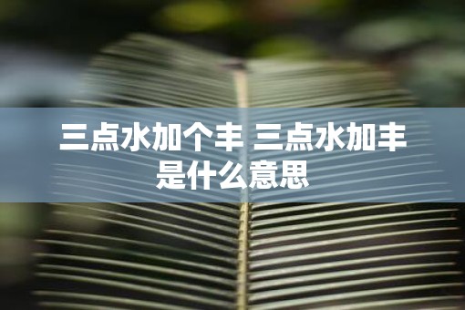 三点水加个丰 三点水加丰是什么意思