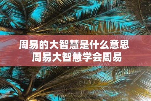 周易的大智慧是什么意思  周易大智慧学会周易
