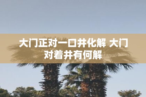 大门正对一口井化解 大门对着井有何解