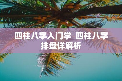 四柱八字入门学  四柱八字排盘详解析