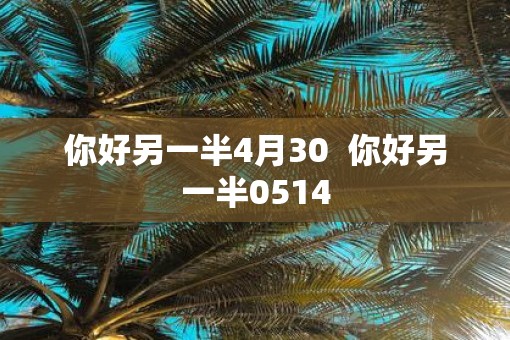 你好另一半4月30  你好另一半0514