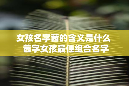 女孩名字茜的含义是什么  茜字女孩最佳组合名字