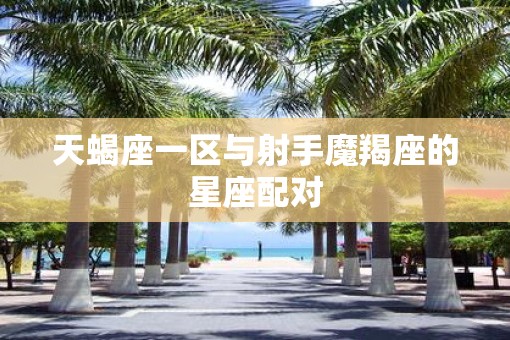 天蝎座一区与射手魔羯座的星座配对