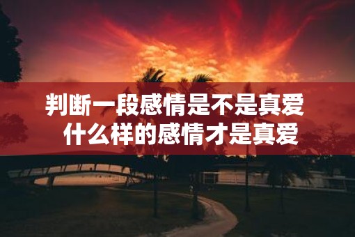 判断一段感情是不是真爱  什么样的感情才是真爱
