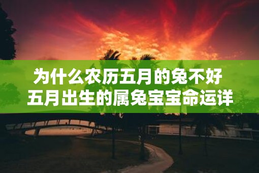 为什么农历五月的兔不好 五月出生的属兔宝宝命运详解