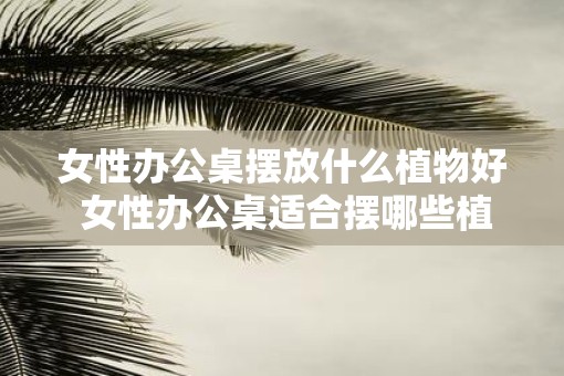 女性办公桌摆放什么植物好 女性办公桌适合摆哪些植物