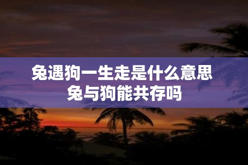 兔遇狗一生走是什么意思 兔与狗能共存吗