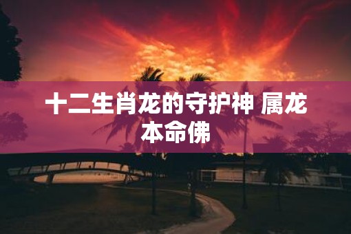 十二生肖龙的守护神 属龙本命佛