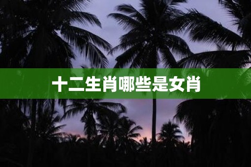 十二生肖哪些是女肖