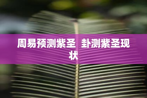 周易预测紫圣  卦测紫圣现状