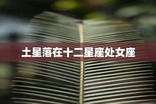 土星落在十二星座处女座