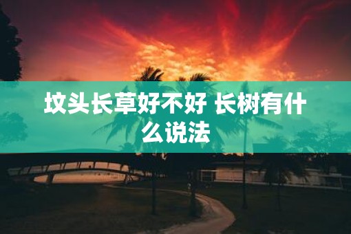 坟头长草好不好 长树有什么说法