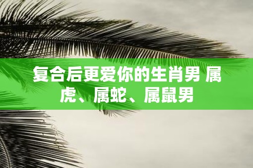 复合后更爱你的生肖男 属虎、属蛇、属鼠男