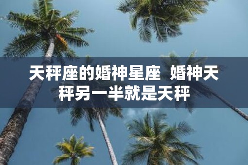 天秤座的婚神星座  婚神天秤另一半就是天秤
