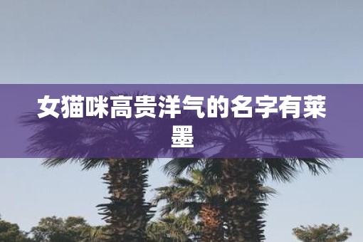 女猫咪高贵洋气的名字有莱墨