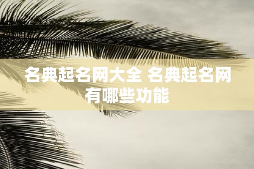 名典起名网大全 名典起名网有哪些功能