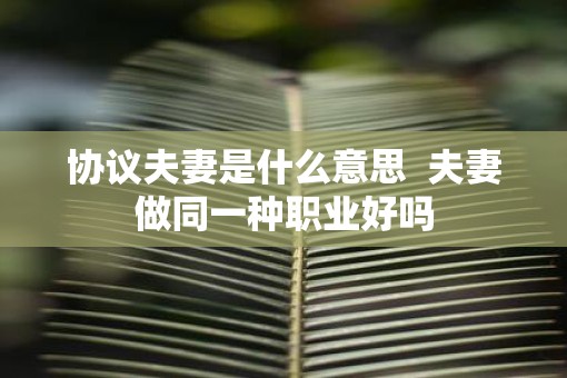 协议夫妻是什么意思  夫妻做同一种职业好吗
