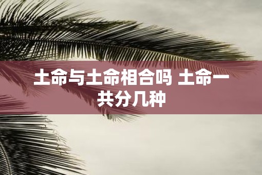 土命与土命相合吗 土命一共分几种