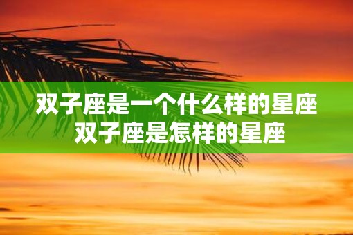 双子座是一个什么样的星座 双子座是怎样的星座