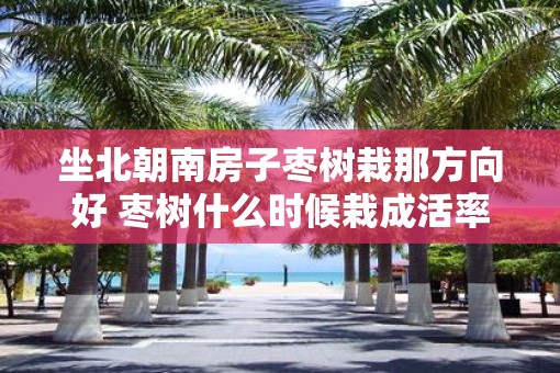 坐北朝南房子枣树栽那方向好 枣树什么时候栽成活率高 坐北朝南房子枣树栽那方向好 枣树什么时候栽成活率高