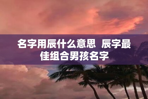 名字用辰什么意思  辰字最佳组合男孩名字