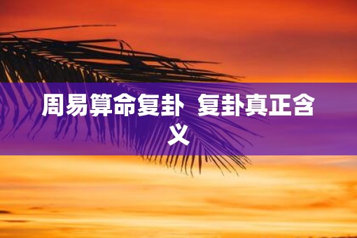 周易算命复卦  复卦真正含义