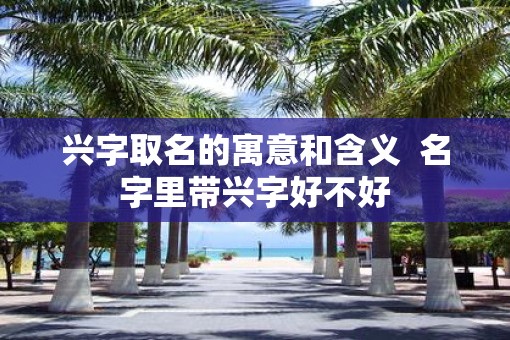 兴字取名的寓意和含义  名字里带兴字好不好