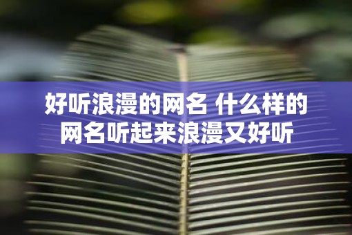 好听浪漫的网名 什么样的网名听起来浪漫又好听