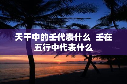 天干中的壬代表什么  壬在五行中代表什么