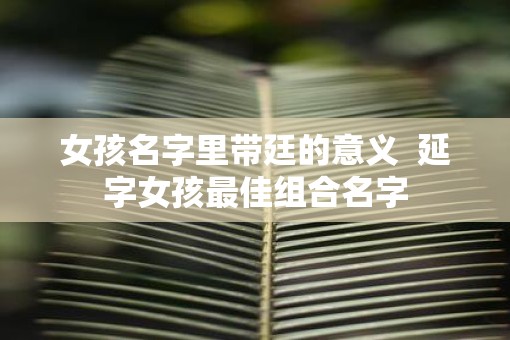 女孩名字里带廷的意义  延字女孩最佳组合名字