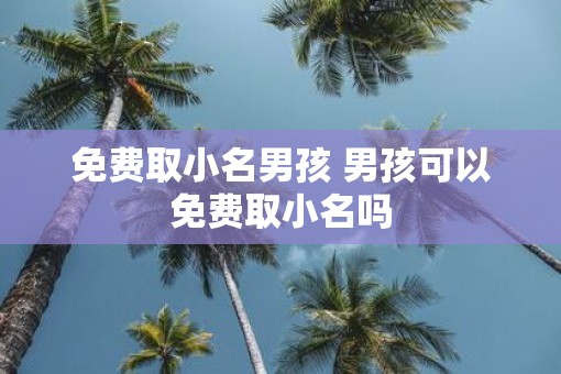 免费取小名男孩 男孩可以免费取小名吗