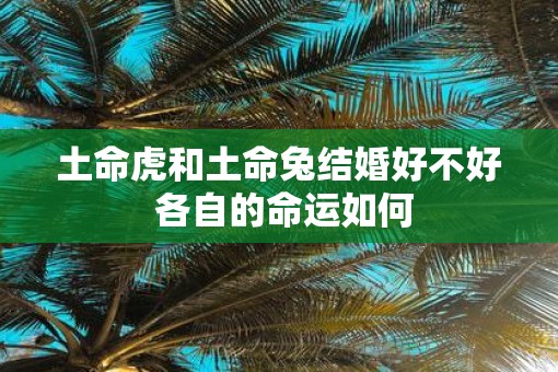 土命虎和土命兔结婚好不好 各自的命运如何