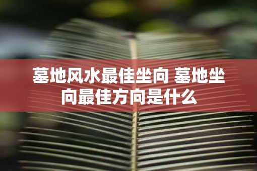 墓地风水最佳坐向 墓地坐向最佳方向是什么