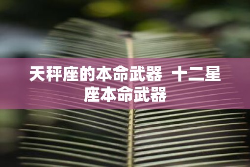 天秤座的本命武器  十二星座本命武器