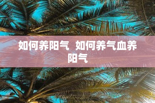 如何养阳气  如何养气血养阳气