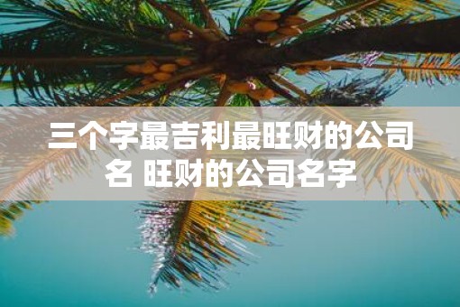 三个字最吉利最旺财的公司名 旺财的公司名字