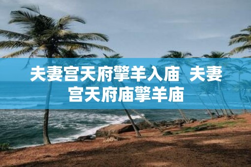 夫妻宫天府擎羊入庙  夫妻宫天府庙擎羊庙