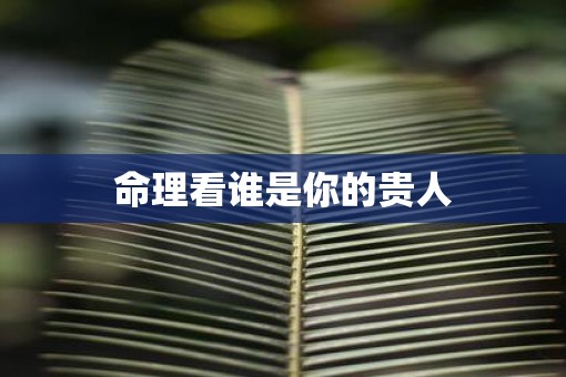 命理看谁是你的贵人