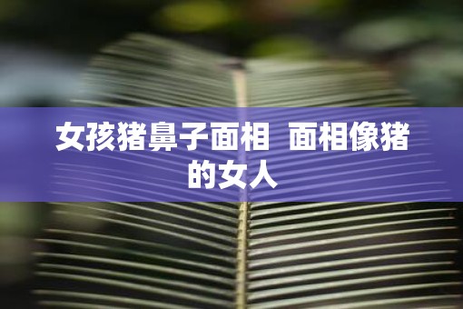 女孩猪鼻子面相  面相像猪的女人