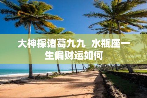 大神探诸葛九九  水瓶座一生偏财运如何