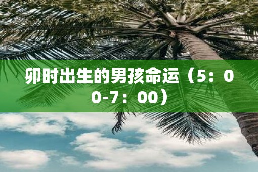 卯时出生的男孩命运（5：00-7：00）