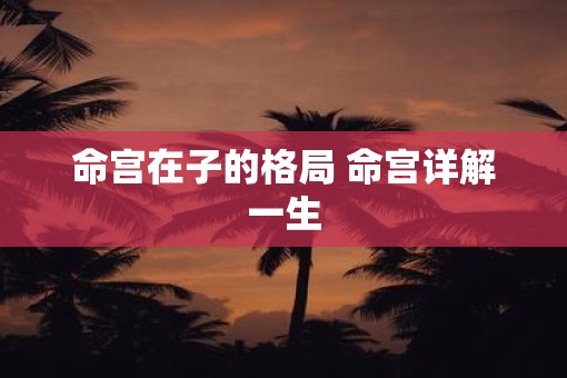 命宫在子的格局 命宫详解一生