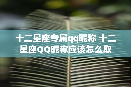 十二星座专属qq昵称 十二星座QQ昵称应该怎么取
