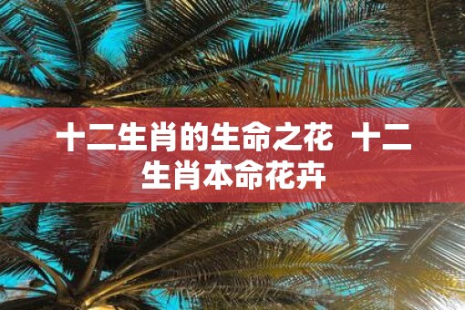 十二生肖的生命之花  十二生肖本命花卉