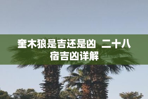 奎木狼是吉还是凶  二十八宿吉凶详解