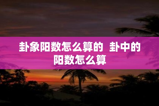 卦象阳数怎么算的  卦中的阳数怎么算