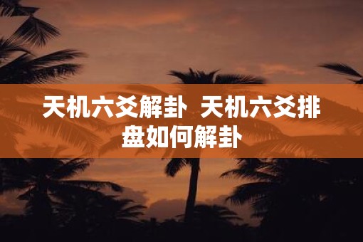 天机六爻解卦  天机六爻排盘如何解卦