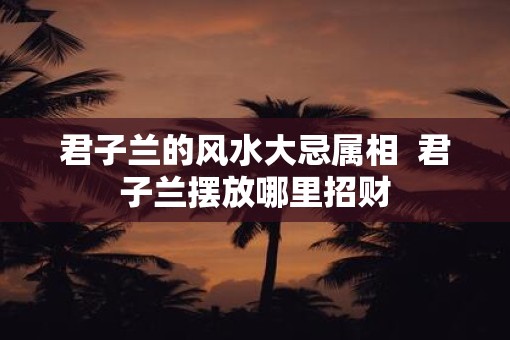 君子兰的风水大忌属相  君子兰摆放哪里招财