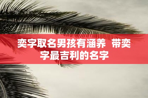 奕字取名男孩有涵养  带奕字最吉利的名字