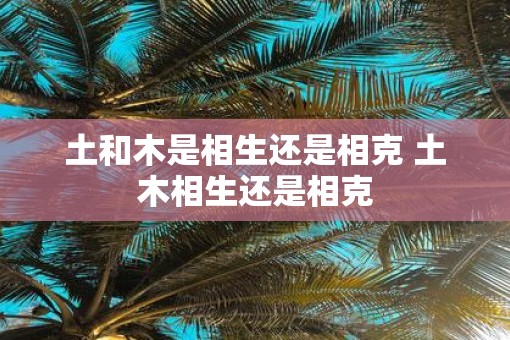 土和木是相生还是相克 土木相生还是相克